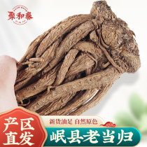 Minxian whole root Angelica premium 500g Non-wild Astragalus Dang Shen Chinese Herbal medicine Qi and blood whole Angelica