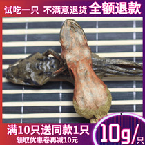 (Buy 10 get 1 free)Changbai Mountain whole snow clam dried 10 grams of Northeast Forest frog dried snow clam oil hash ant