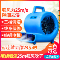 Jieba BF533 534 535 ground carpet powerful blow dryer hotel mall floor blowing machine toilet hair dryer