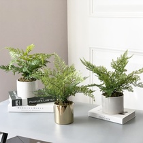 Nordic living room simulation green plant Adipox fern plant artificial flower simulation flower small potted plant set indoor ornaments