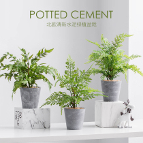 Nordic simulation green plant turtle back leaf fake flower decoration small potted fake bonsai plant living room office desktop decoration