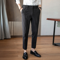 Autumn and winter non-ironing woolen business casual pants men's Korean fashion brand slim small pants straight vertical suit pants