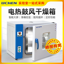 Lichen Technology Electric Constant Temperature Blast Drying Chamber Oven Laboratory Oven Industrial Intelligent Digital Display Dryer