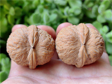 文玩核桃蛤蟆头-文玩核桃蛤蟆头促销价格、文玩核桃蛤蟆头品牌- 淘宝