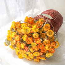 Natural small Daisy dried flower real flower air dried bouquet living room furnishings ins Wind Flower arrangement home desktop decoration ornaments