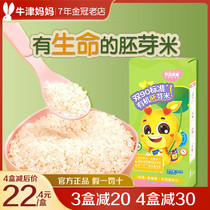 Akita full of organic germ rice grain nutrition vacuum rice gruel rice with baby baby supplement