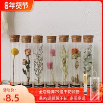 Glass test tube dry flower specimen forever flower wishes a bottle of bouquet decoration for natural hand-made diy gifts
