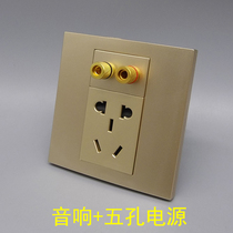 Champagne gold five-hole power supply plus audio two or three plug 10A5 hole water column sound convex head two holes 5 1 surround banana