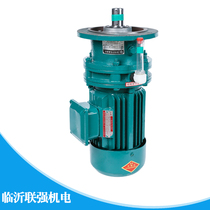 Planetary cycloid pin wheel reducer with motor copper wire iron shell three-phase 380V vertical mixer Changzhou variable speed machine