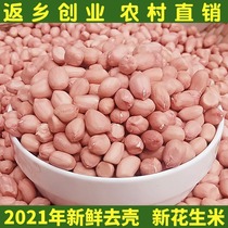 20 pink peanuts raw peanuts new goods 5kg rural self-produced special grade unshelled peanut kernel oil