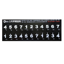 Mouth organ keyboard sticker sticker for 37 keys 36 keys 32 keys 27 Keys 25 keys for Swan Chimei Suzuki
