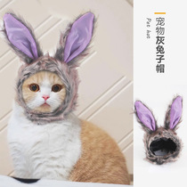 Cat funny rabbit headgear wig transformation pet hat puppet beauty short English short headwear rabbit ear accessories