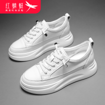 Red dragonfly white shoes womens shoes 2021 new summer thin section wild explosion spring and autumn casual breathable board shoes