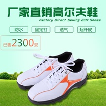 Chuangsheng golf supplies factory special direct sales men's golf shoes four-color selection CS-02