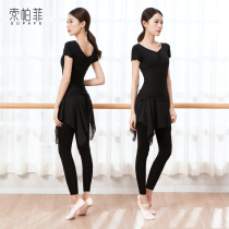 Dance practice suit suit female modern adult body training summer Chinese classical ballet Latin dance clothes and clothing