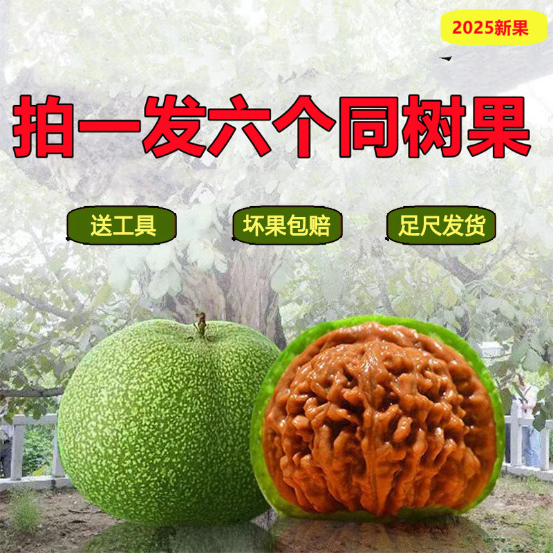 三棱文玩核桃-三棱文玩核桃促销价格、三棱文玩核桃品牌- 淘宝