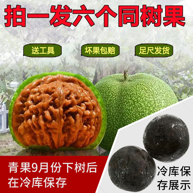 血麒麟纹官帽核桃-血麒麟纹官帽核桃促销价格、血麒麟纹官帽核桃品牌- 淘宝
