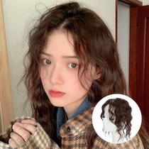 Full real hair wig female wool curly hair curly hair reissue air eight-character bangs curly hair wigs