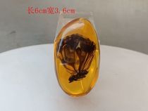 Antique antique amber old butterfly Amber pendant in Qing Dynasty