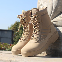 Spring and autumn summer combat boots outdoor male flying boots High-help combat boots Special Forces desert boots tactical boots land warfare