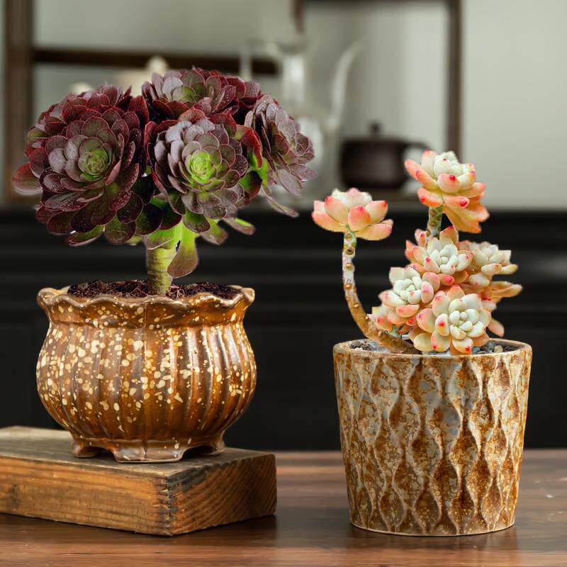 红砖纹陶瓷花盆-红砖纹陶瓷花盆促销价格、红砖纹陶瓷花盆品牌- 淘宝