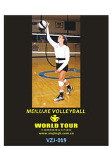 Mei Lu Jie (MEILUJIE) Standard Volleyball Air Volleyball Serve Shot Ball Pair Training Belt