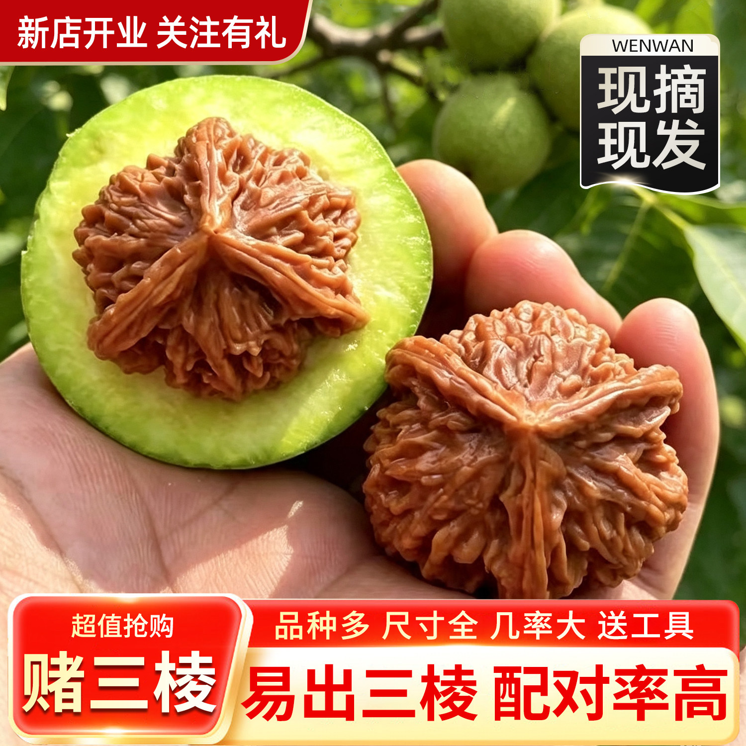 三棱核桃文玩-三棱核桃文玩促销价格、三棱核桃文玩品牌- 淘宝