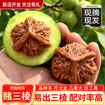 老树文玩核桃-老树文玩核桃促销价格、老树文玩核桃品牌- 淘宝