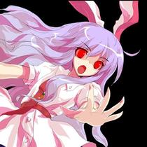 (Rabbit) wig custom column
