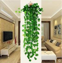 Simulation plant flower Vine Vine green leaf wall wall hanging rattan basket indoor chlorophyte living room green plant decoration