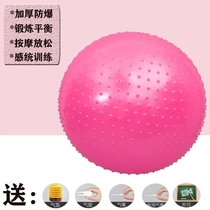 Yoga ball childrens sensory training Big Dragon Ball home thickened fitness ball baby massage balance ball 1005r