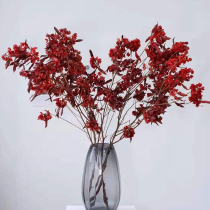 Immortal butterfly flower welcome bean dried flower red festive New year curfew flower blessing bucket with material decoration Hay decoration