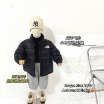 Boys down clothes 2021 Winter fit new thickened children Collar Jacket Mid children 90 white duck suede Korean version blouse