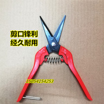 Korean spring scissors chain scissors wire scissors manual scissors ceiling with scissors length 195MM