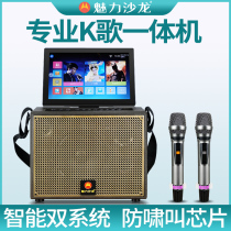 Charm Salon Wireless Family ktv Home K Song All-in-One Microphone TV Live Sound Card Microphone Singing Audio Set Universal Bluetooth Karaoke Machine System Full Songs
