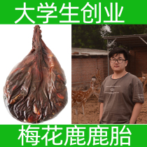  Jilin Sika deer whole deer placenta Deer blood fetus Whole whole dried fresh deer fetus cream raw material 500g deer fetus powder