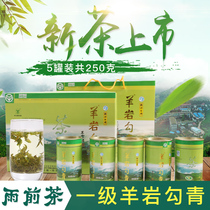First-level Yangyan Gouqing 21 New Tea Listed Linhai Taizhou Alpine Tea Fragrant Gift Boxed Tea Green Tea