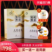 (Buy one get one free) Black Tea Hunan Anhua Black Tea Tianjian Jinhua Fu Brick Tea Anhua Black Tea Jinhua Fu brick