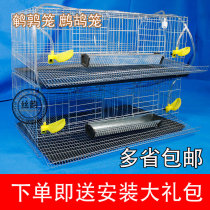 Bold encrypted quail cage household quail cage Partridge cage balcony quail cage automatic egg roll cage with tray