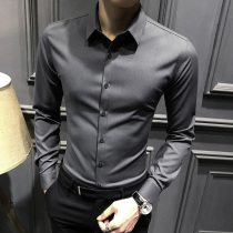 Mens autumn shirt mens long sleeve high-end slim 2021 New Business premium shirt mens non-iron casual dress
