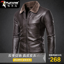 Woodpecker Leather Sheep Leather Coat One Men's Coat Leather Jacket Wool Collar Thickened Plus Velvet Winter Short