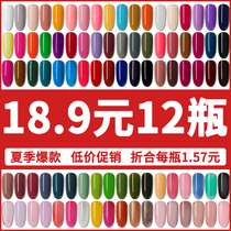 Manicure cat eye glue 2021 new nail polish set nail shop phototherapy glue Net red pop color Small set