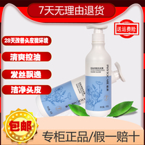 Infinitus Zheiya Dandruff Shampoo 400ml Upgrade Oil Control Refreshing Shampoo Deoiling