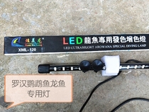 Hyundai Dragon led dragon fish Luohan Wealth God Parrot special fish cylinder light waterproof diving light