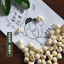 Imitation wild Sichuan fritillaria farmhouse planted with four Sichuan fritillaries non-Zhejiang bay accessories Loquat Cream Loquat Powder 50g