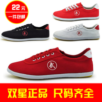 Pole shoes double star sports shoes for men and women children martial arts shoes Tai Chi shoes canvas beef tendon training shoes