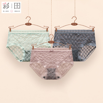 Color Fields Middle Waist New Products Sexy Ice Silk Lace Underpants Bottom Crotch Antibacterial Hollowed-out Transparent Seduction Triangle Shorts Briefs