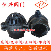 Water pump bottom valve Internal thread screw suction valve Cast iron check valve DN25 40 50 65 80 100