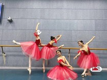 Childrens ballet skirt Swan Lake ballet performance dress dress girl TUTU dress dance adult jumpsuit