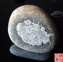 Special Price: natural strange stone ornamental stone pattern Stone (paleontological fossil)